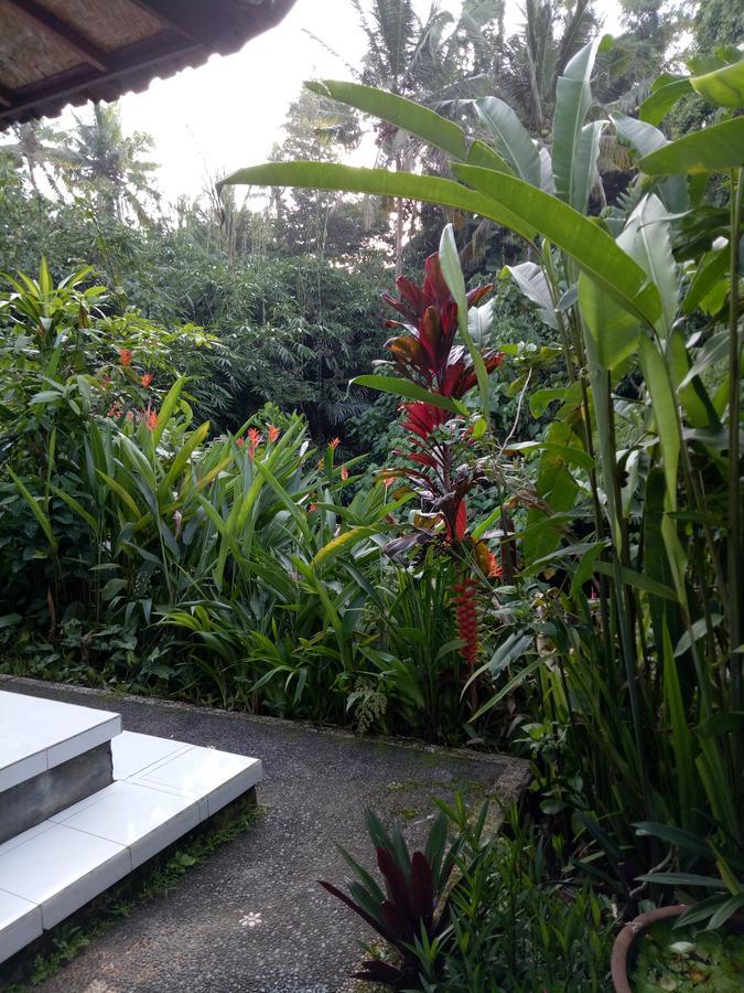 Karma House * Ubud